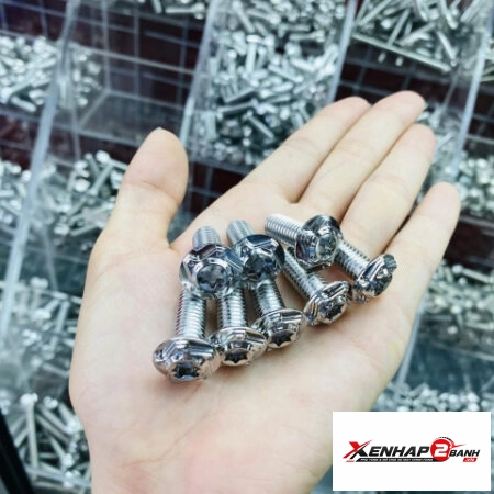 Bộ ốc đĩa Salaya inox cho Vario (4con)