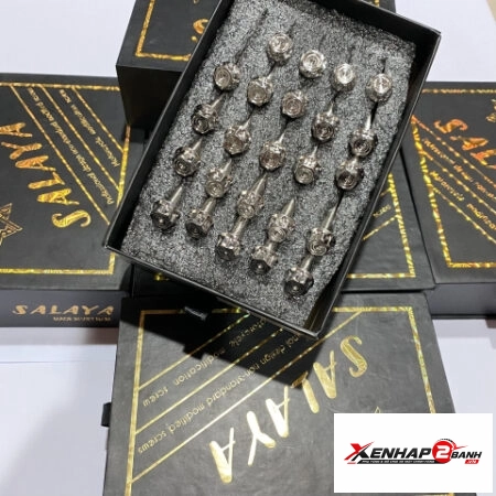 Bộ ốc nồi Salaya inox cho Exciter 2010